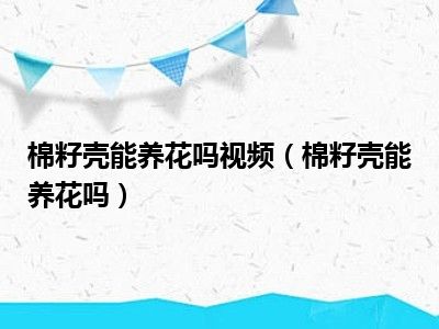 棉籽壳能养花吗视频（棉籽壳能养花吗）