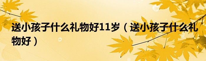  送小孩子什么礼物好11岁（送小孩子什么礼物好）