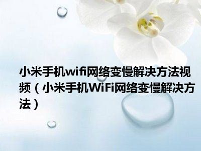 小米手机wifi网络变慢解决方法视频（小米手机WiFi网络变慢解决方法）