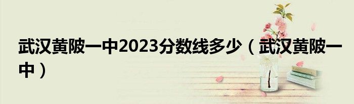  武汉黄陂一中2023分数线多少（武汉黄陂一中）