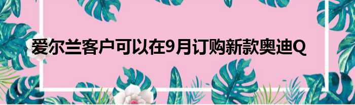 爱尔兰客户可以在9月订购新款奥迪Q