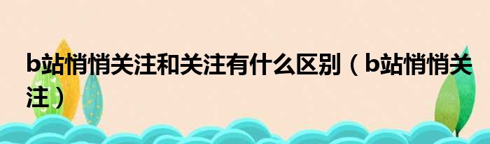 b站悄悄关注和关注有什么区别（b站悄悄关注）