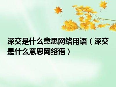 深交是什么意思网络用语（深交是什么意思网络语）