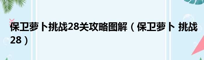 保卫萝卜挑战28关攻略图解（保卫萝卜 挑战28）