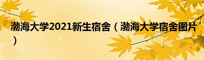  渤海大学2021新生宿舍（渤海大学宿舍图片）