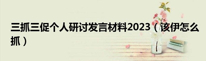  三抓三促个人研讨发言材料2023（该伊怎么抓）