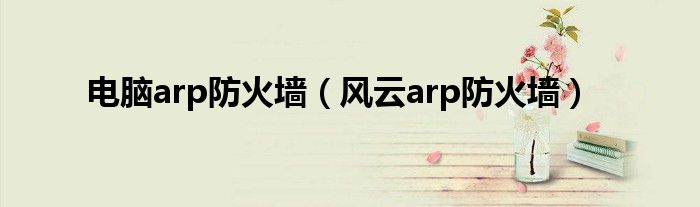  电脑arp防火墙（风云arp防火墙）