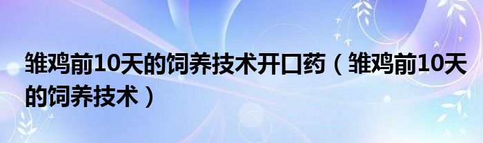  雏鸡前10天的饲养技术开口药（雏鸡前10天的饲养技术）