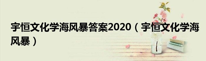  宇恒文化学海风暴答案2020（宇恒文化学海风暴）