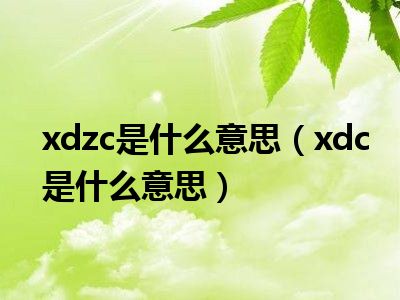 xdzc是什么意思（xdc是什么意思）