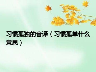 习惯孤独的音译（习惯孤单什么意思）