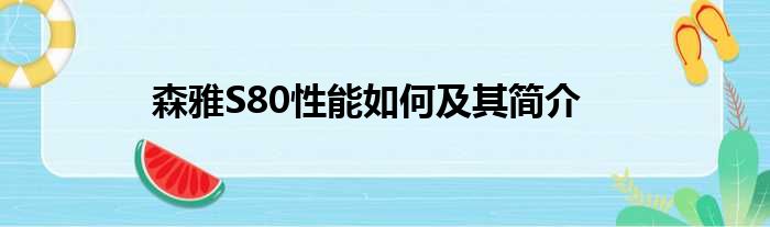 森雅S80性能如何及其简介