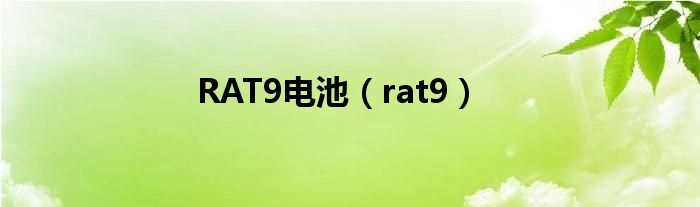  RAT9电池（rat9）