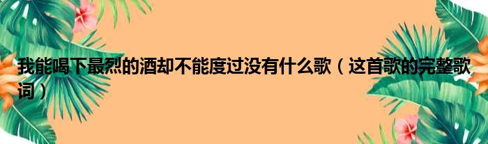 我能喝下最烈的酒却不能度过没有什么歌（这首歌的完整歌词）