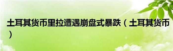  土耳其货币里拉遭遇崩盘式暴跌（土耳其货币）