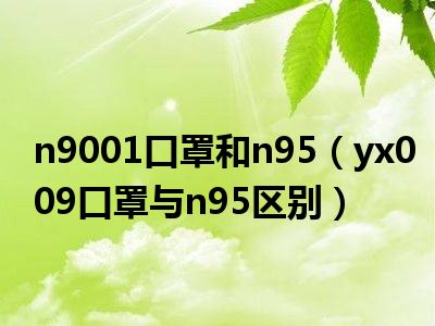 n9001口罩和n95（yx009口罩与n95区别）