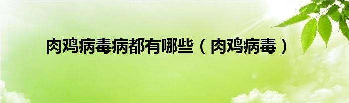  肉鸡病毒病都有哪些（肉鸡病毒）