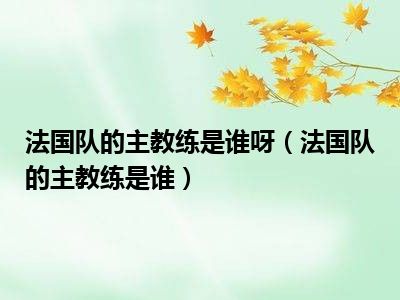 法国队的主教练是谁呀（法国队的主教练是谁）