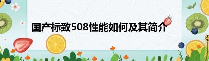 国产标致508性能如何及其简介