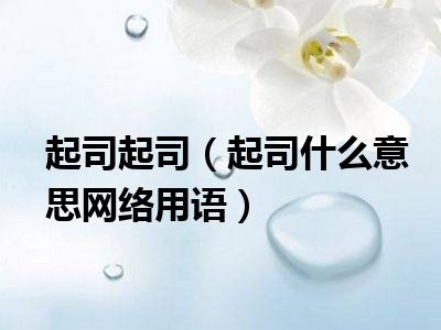 起司起司（起司什么意思网络用语）