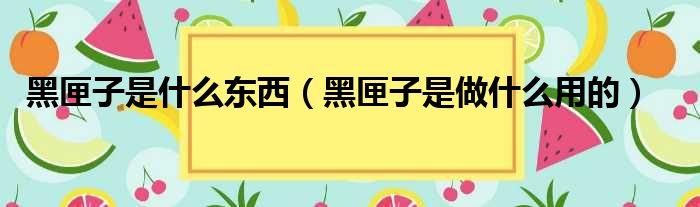 黑匣子是什么东西（黑匣子是做什么用的）