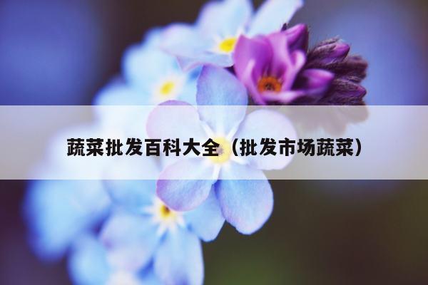 蔬菜批发百科大全（批发市场蔬菜）