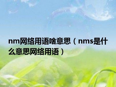 nm网络用语啥意思（nms是什么意思网络用语）