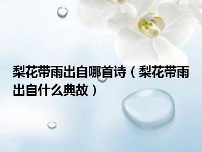 梨花带雨出自哪首诗（梨花带雨出自什么典故）