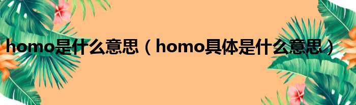 homo是什么意思（homo具体是什么意思）