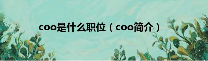 coo是什么职位（coo简介）