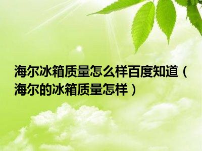 海尔冰箱质量怎么样百度知道（海尔的冰箱质量怎样）