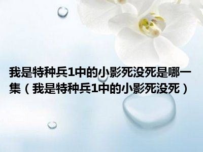 我是特种兵1中的小影死没死是哪一集（我是特种兵1中的小影死没死）