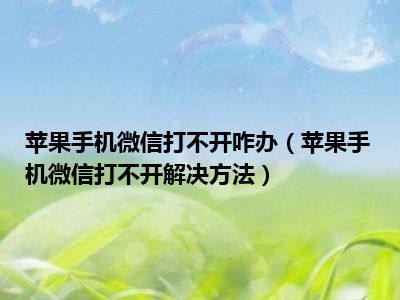 苹果手机微信打不开咋办（苹果手机微信打不开解决方法）