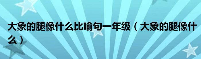  大象的腿像什么比喻句一年级（大象的腿像什么）