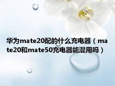 华为mate20配的什么充电器（mate20和mate50充电器能混用吗）