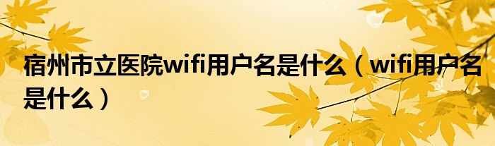  宿州市立医院wifi用户名是什么（wifi用户名是什么）