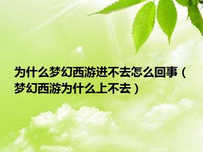 为什么梦幻西游进不去怎么回事（梦幻西游为什么上不去）