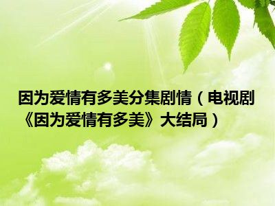 因为爱情有多美分集剧情（电视剧《因为爱情有多美》大结局）