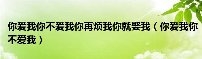  你爱我你不爱我你再烦我你就娶我（你爱我你不爱我）