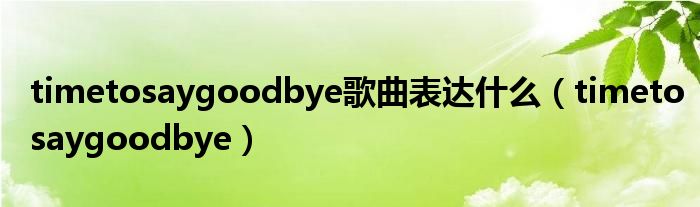  timetosaygoodbye歌曲表达什么（timetosaygoodbye）