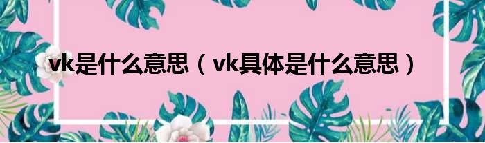 vk是什么意思（vk具体是什么意思）