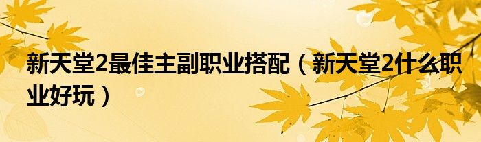  新天堂2最佳主副职业搭配（新天堂2什么职业好玩）