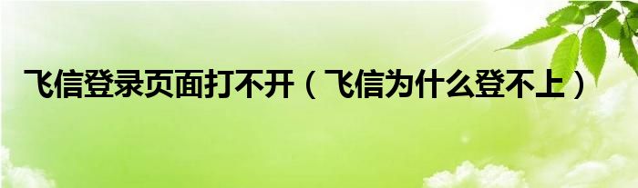 飞信登录页面打不开（飞信为什么登不上）