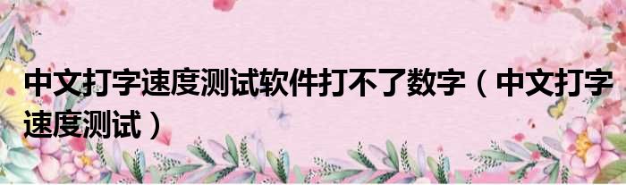 中文打字速度测试软件打不了数字（中文打字速度测试）