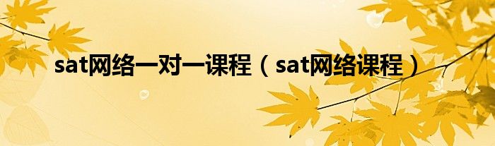  sat网络一对一课程（sat网络课程）