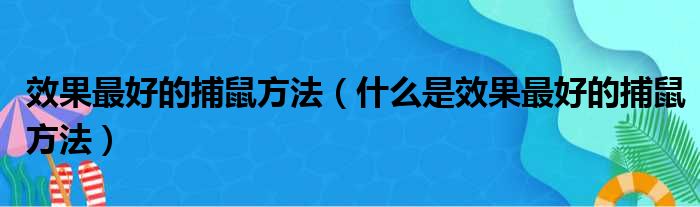 效果最好的捕鼠方法（什么是效果最好的捕鼠方法）