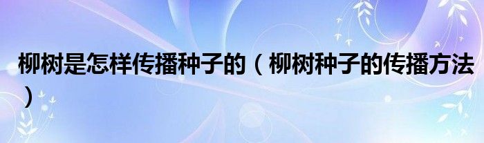 柳树是怎样传播种子的（柳树种子的传播方法）