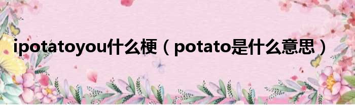 ipotatoyou什么梗（potato是什么意思）