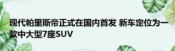 现代帕里斯帝正式在国内首发 新车定位为一款中大型7座SUV