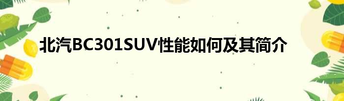 北汽BC301SUV性能如何及其简介